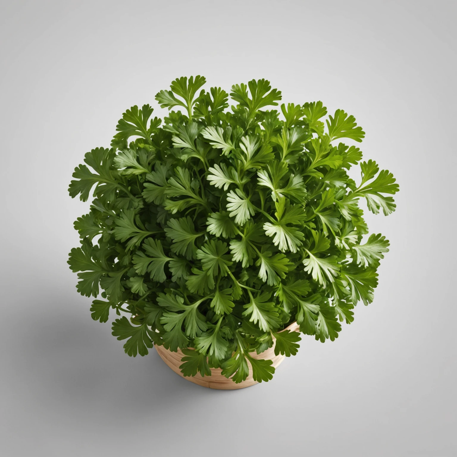 Fresh Parsley recommended for Gluten-Free Cheesy Herb Polenta Casserole